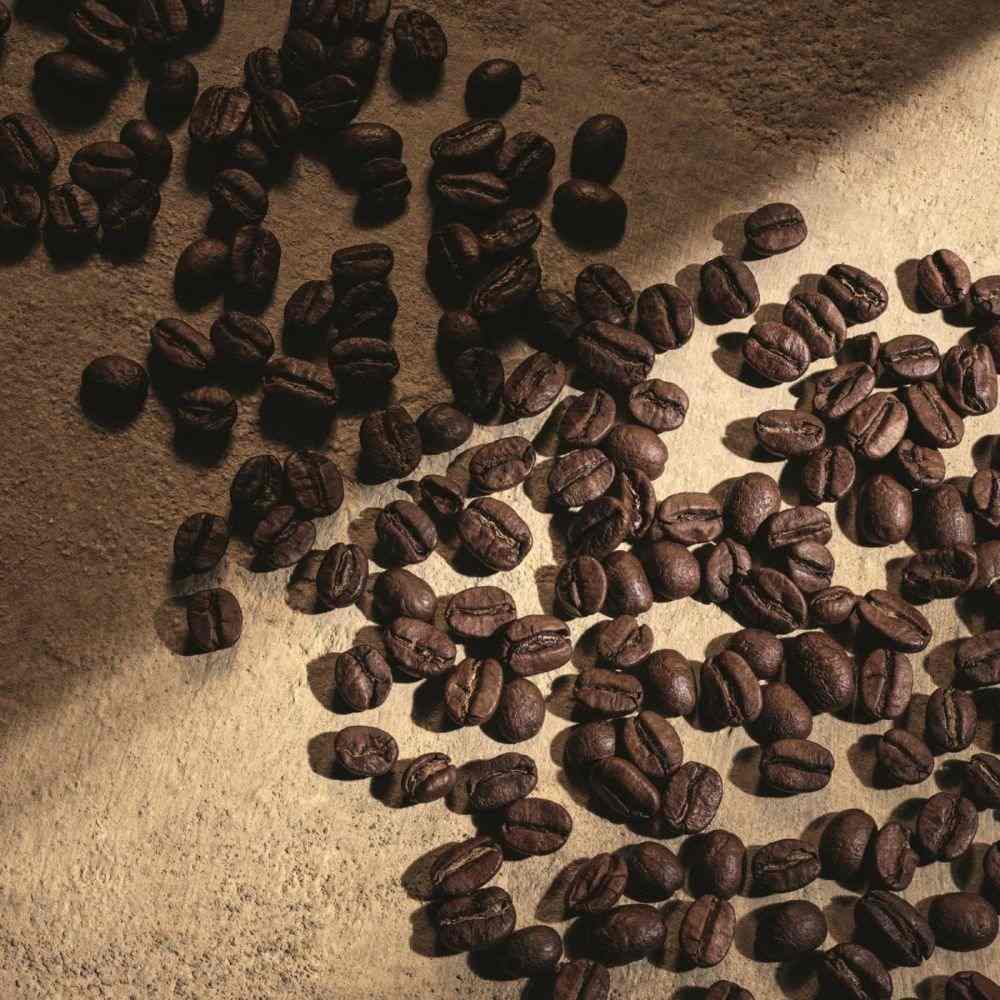 DEVOTION FOR MEN PARFUM